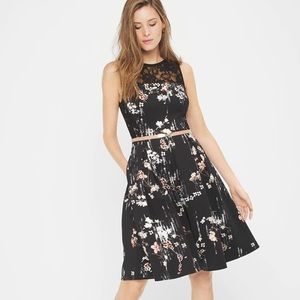 White House Black Market Floral Fit & Flare Dress
